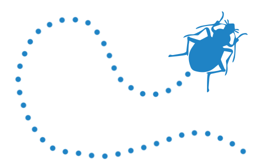 bug